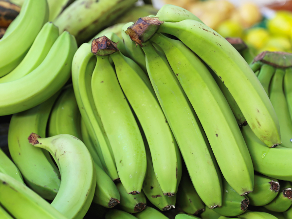 Indian Banana Export