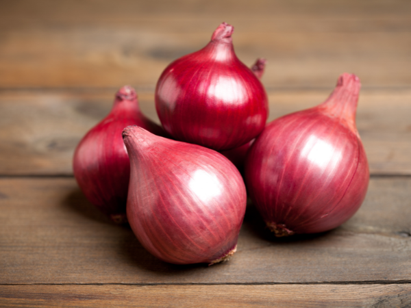 Fresh Onion Export India