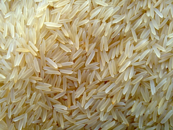 1121 Basmati Rice Export from India
