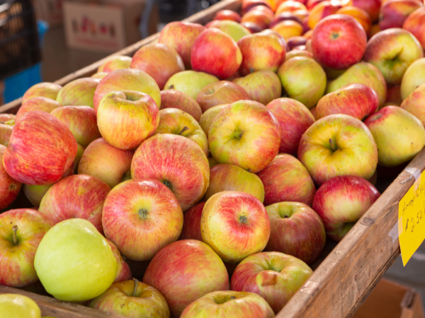 Imported Apples India