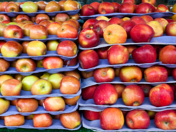 Apple Importer Freightix1012